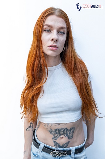 Ginger Cat's main image